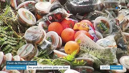 Des centaines de produits Carrefour périmés retrouvés dans une forêt du Nord  - Une enquête a été ouverte - VIDEO