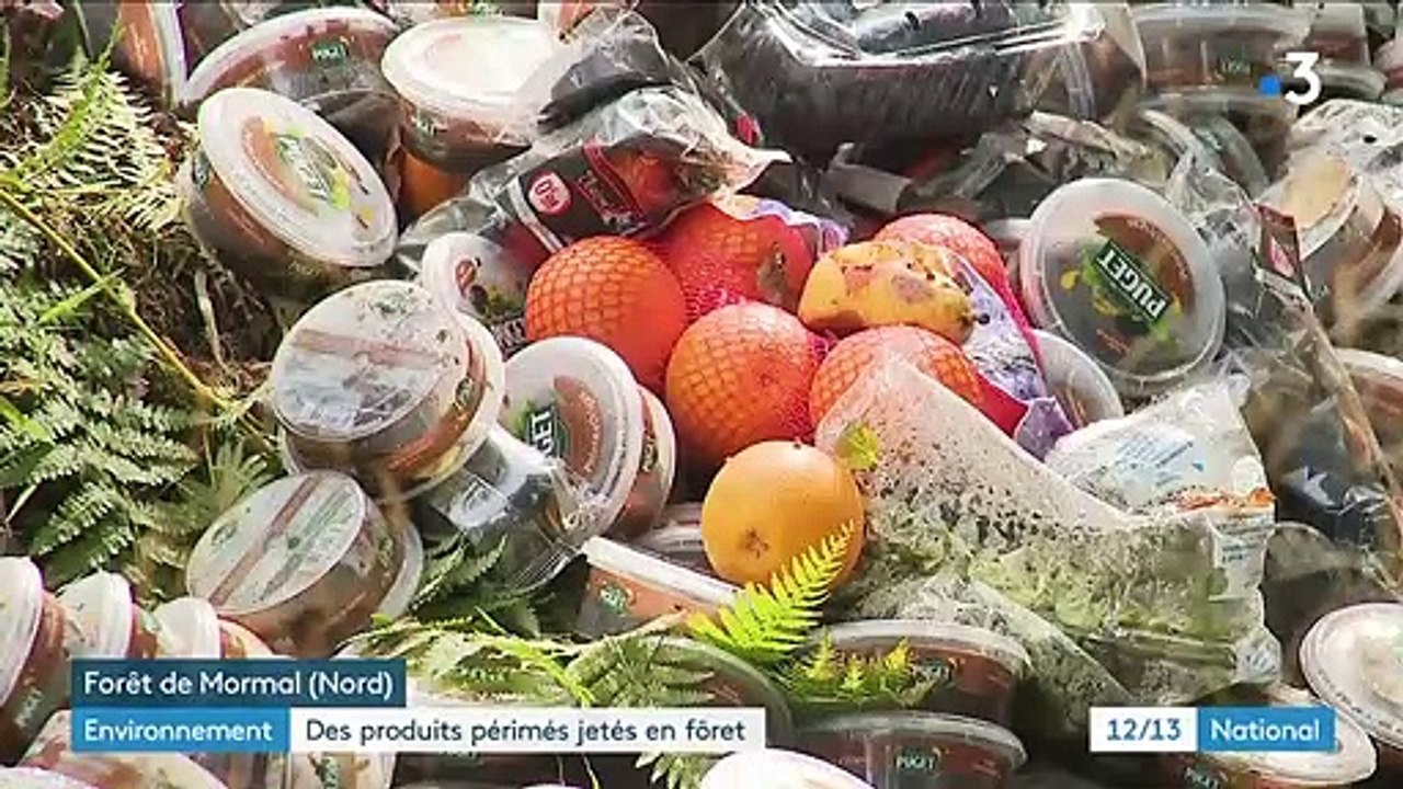 Des centaines de produits Carrefour périmés retrouvés dans une forêt du Nord  - Une enquête a été ouverte - VIDEO