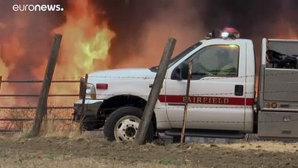 Лесные пожары в Калифорнии