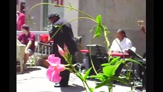 Live Jazz from Borders Bookstore in 2009  (Video 1)