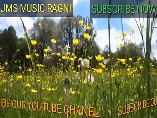 New Haryanvi Ragni Paleram Dahiya Diya Gad Sbha Me Bans