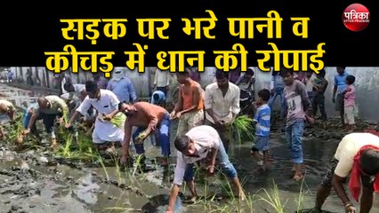 सड़क पर भरे पानी व कीचड़ में धान की रोपाई करके आक्रोशित लोगों ने दर्ज कराया विरोध