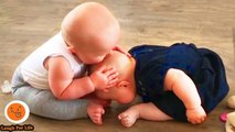 Fun And Fails Funniest Sibling Rivalry 25 Funny Babies And Pets