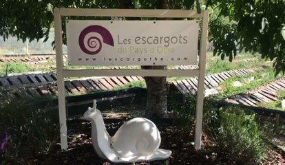 Les Escargots du Pays d'Othe