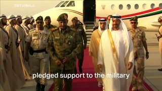 MBZ | Crown Prince of Abu Dhabi | Secret Prinson in Yemen