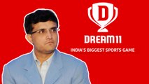 IPL 2020 Sponsor Dream 11 Have Chinese Connections - CAIT