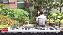 전국 주택 거래량 또 최대…수도권 전셋값 54주째 상승