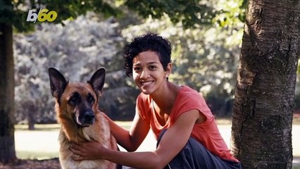 Simple Ways to Keep Your Senior Dog Active