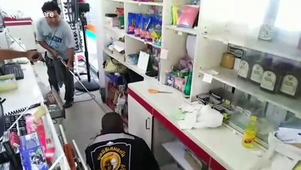 Monitor lizard sparks panic after rampaging through grocery shop