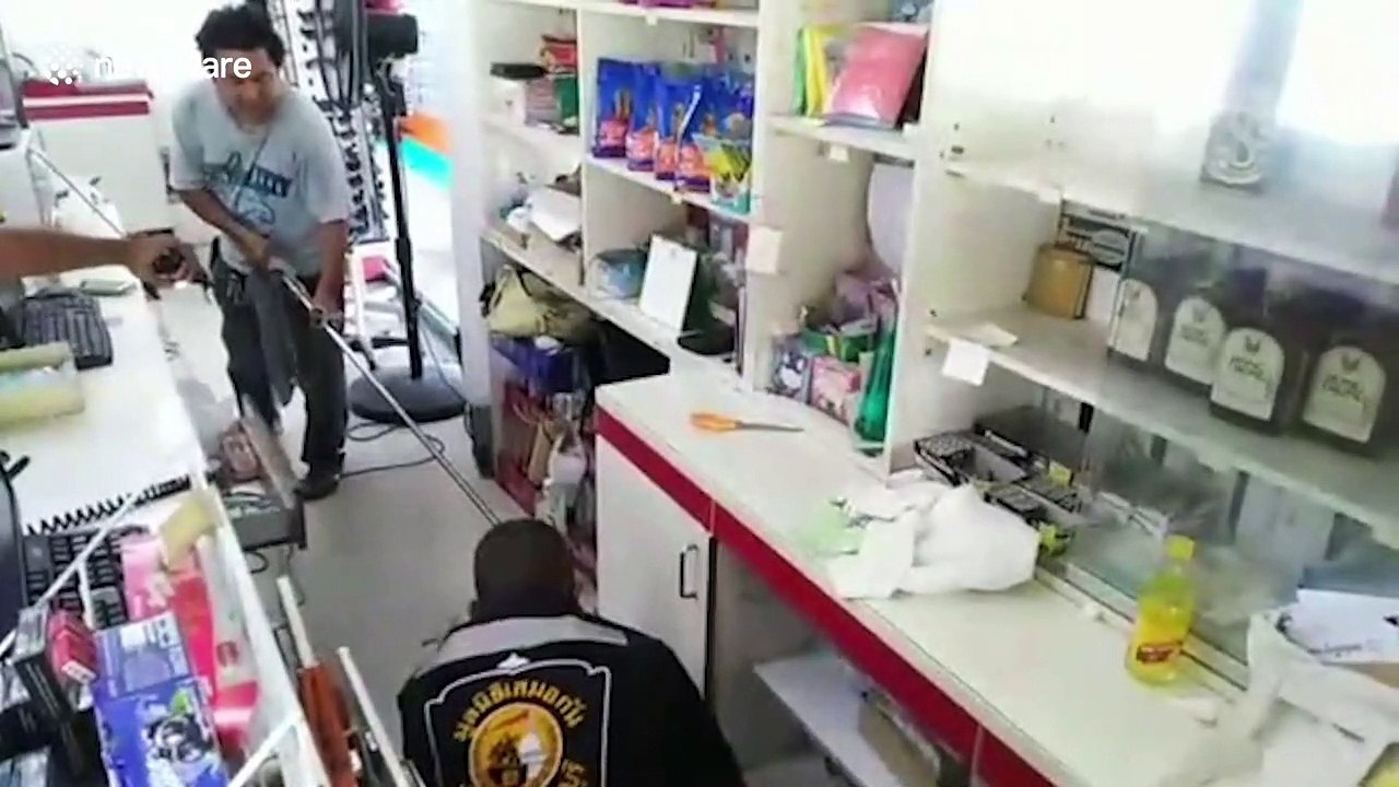 Monitor lizard sparks panic after rampaging through grocery shop