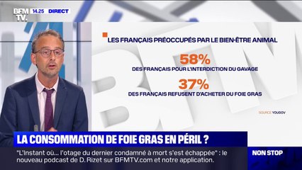 La consommation de foie gras en péril ?