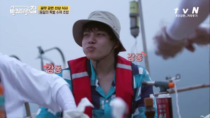 ※침샘어택※ 공기가 살아있는 동일표 초밥!? 배 위에서 바로 냠♥