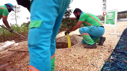 Başakşehir’de kavşaklar yeşile büründü