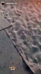 Paz Padilla y su hija rinden homenaje a Antonio, un mes después de su muerte