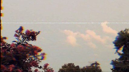 alacran, hormigas y dignidad