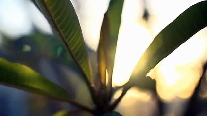 Quadruplex - à vendre - Val-d'Or - 23467026