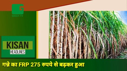 Fertilizer की कालाबाजारी पर नए नियमों से लगेगी रोक, अब Kisan Digital भुगतान से ही खरीद सकेंगे उर्वरक | Kisan Bulletin : Grameen news