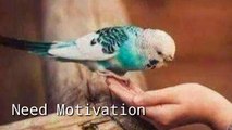 दुख, परेशानियां दूर कैसे करें । Powerful And Meaningful Motivational Video In Hindi(Need Motivation)