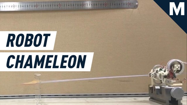 Chameleon-like robot has the fastest extendable 'tongue' in tech