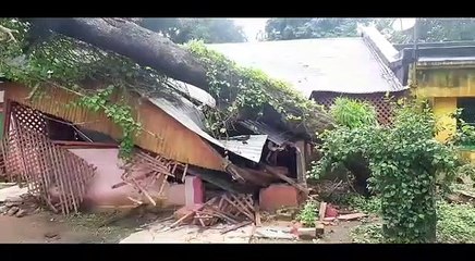 লাগাতার বৃষ্টিতে বাড়ির উপর ভেঙে পড়ল বিরাট গাছ