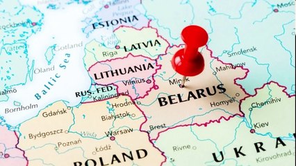 What Is Happening In Belarus, And What Is The Anti-Cockroach Revolution ?