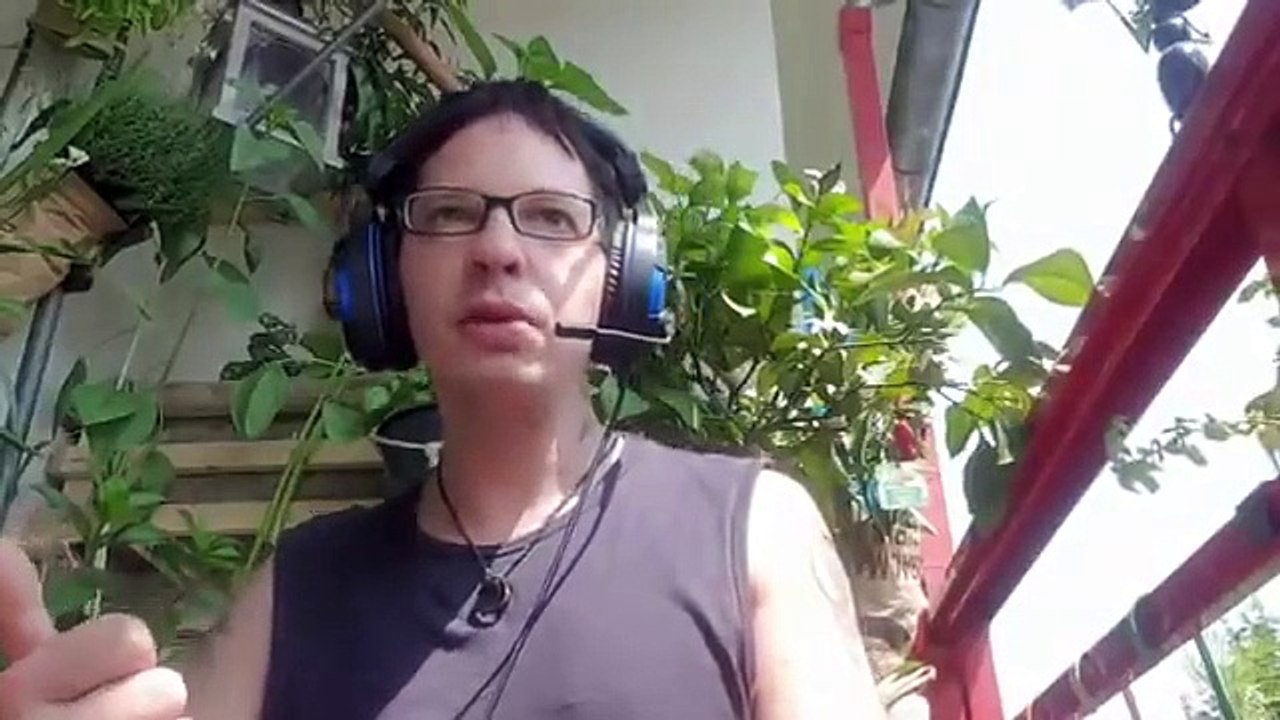 Linker Szenekenner berichtet über Antifa und fordert deren Verbot