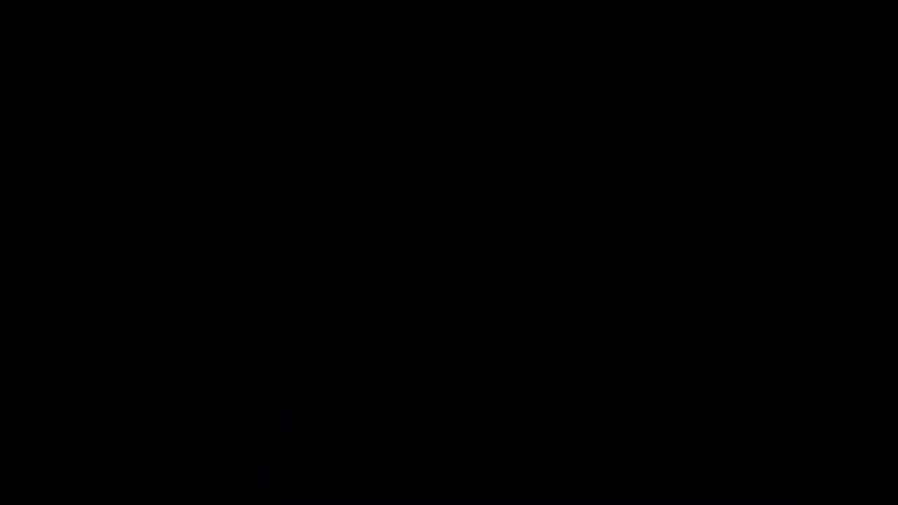 Der Volkslehrer und Seehofer in Stuttgart - Das gelöschte Seehofer-Video