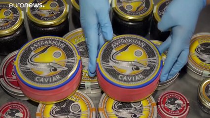 Produção de caviar está em crescimento