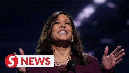 Why Joe Biden picked Kamala Harris as his running mate