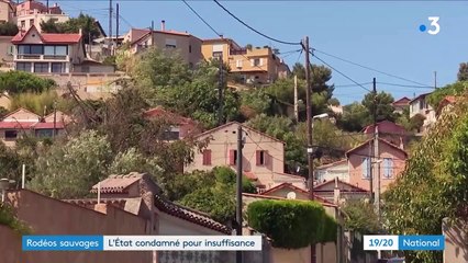 Rodéos sauvages : l’État condamné à payer 10 000 euros de dommages et intérêts