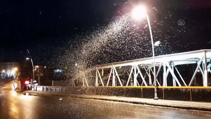 Ardahan'da kelebeklerin 'ölüm uçuşu' görsel şölene dönüştü