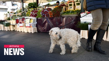 Germany's new law to force dog owners to walk their dogs twice a day