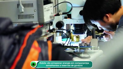 Robôs vão armazenar energia em componentes semelhantes a reservas de gordura