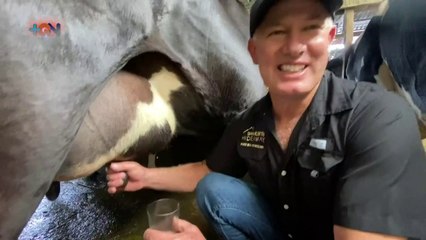 mqn-tomese-la-leche-al-pie-de-la-vaca-200820