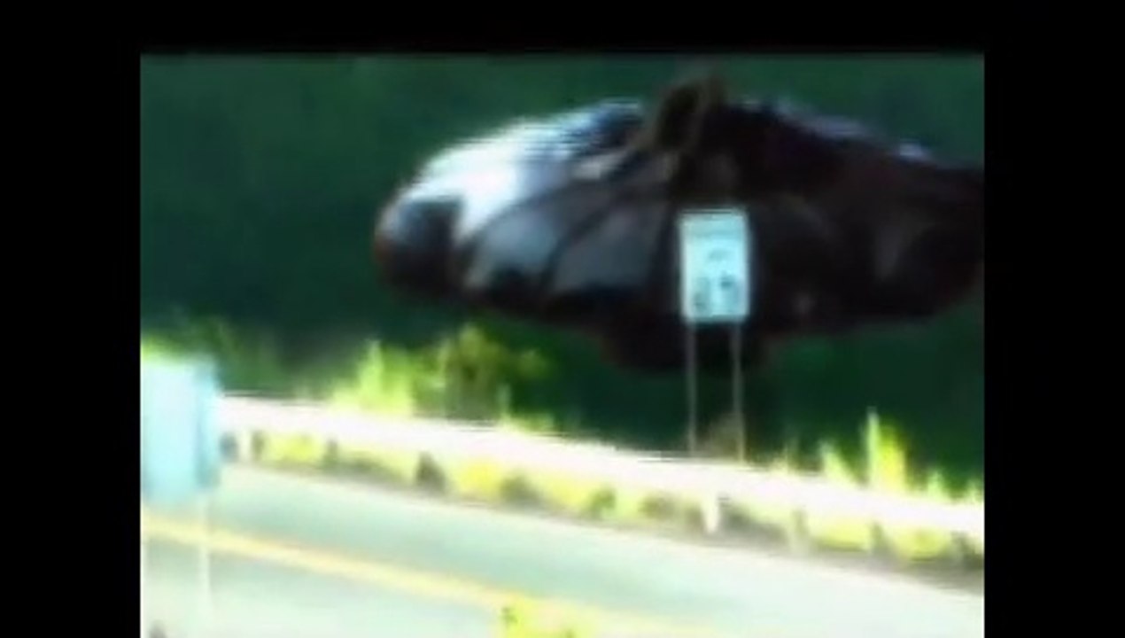 Real UFO Sighting!