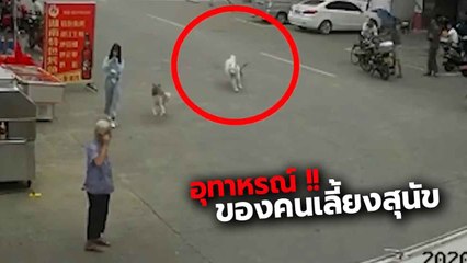 อุทาหรณ์ !! นาทีสลด คุณยายล้มหัวฟาดพื้นเสียชีวิต สิ้นชีพเพราะสุนัข