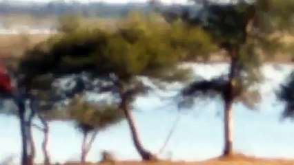 शाजापुर: तालाब में डूबने से युवक की मौत