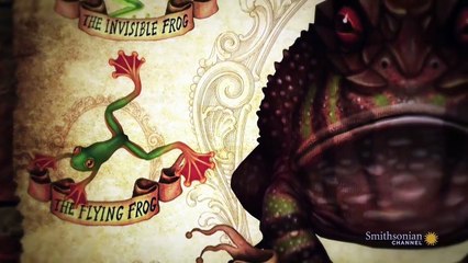 Crazy Monster Frogs