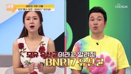 탄수화물 중독 탈출! 장 건강 튼튼! ◆BNR17 유산균◆