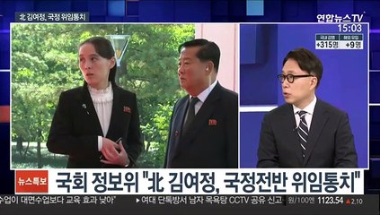 [뉴스큐브] "북한 김정은, 김여정에 위임통치"…양제츠 방한