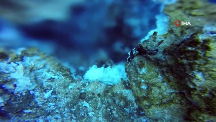 Yanardağa benzeyen 'Mikrobiyalitler' hayran bıraktı