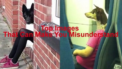 Top Images That Can Make You Misunderstand