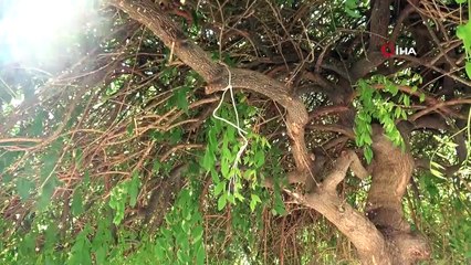 Polis, adamı ipten aldı