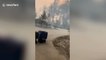Charred forest, burnt trees as CZU Lightning Complex fire ravages Bonny Doon, Santa Cruz