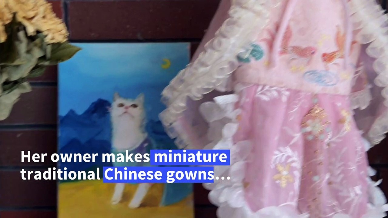 Pet clothing designer inspired by ancient Chinese beauties