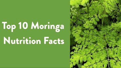 Moringa Nutrition Facts - Inside Moringa