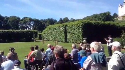 Birds of prey Scotland