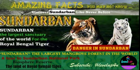 Adventure of sundarban|It's not about the tiger's only(documentary)|sundarban tourist guide|sundarban village life|#advantureofsundarban|#holitourpackagesundarban