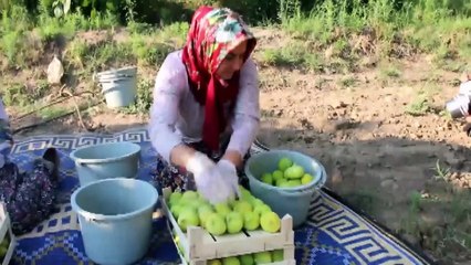 Türkiye'den 22 günde 5 milyon dolarlık incir ihracatı - AYDIN