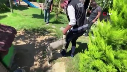 Silah kaçakçılığı baskınında ortaya çıkan manzara polisi bile şaşırttı